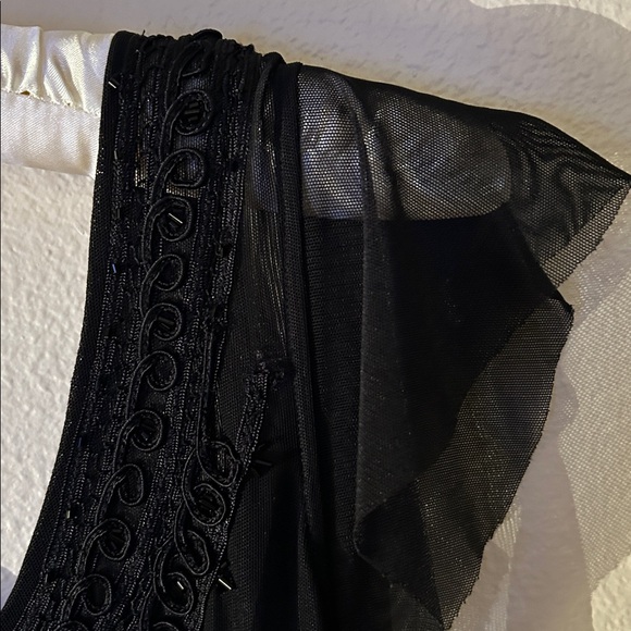 Elegant Black Sheer Dress with Lace Detail - Picture 6 of 16